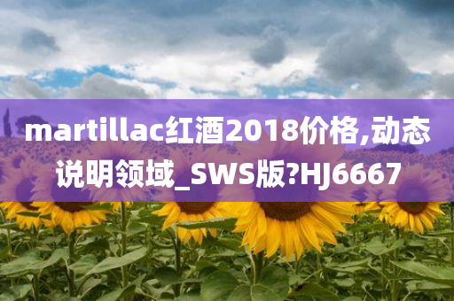 martillac红酒2018价格,动态说明领域_SWS版?HJ6667