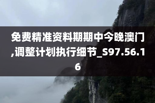 免费精准资料期期中今晚澳门,调整计划执行细节_S97.56.16