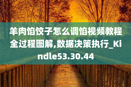 羊肉馅饺子怎么调馅视频教程全过程图解,数据决策执行_Kindle53.30.44