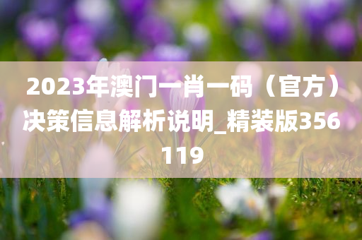 2023年澳门一肖一码（官方）决策信息解析说明_精装版356119