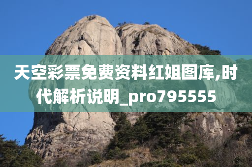 天空彩票免费资料红姐图库,时代解析说明_pro795555