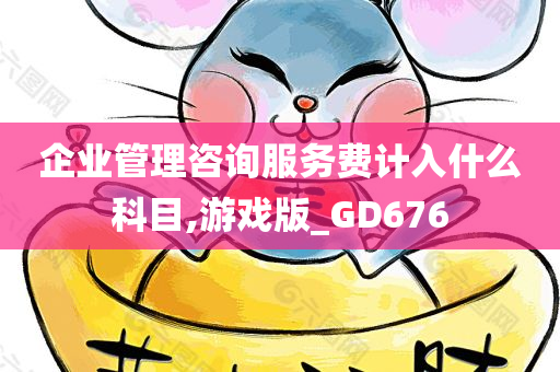 企业管理咨询服务费计入什么科目,游戏版_GD676