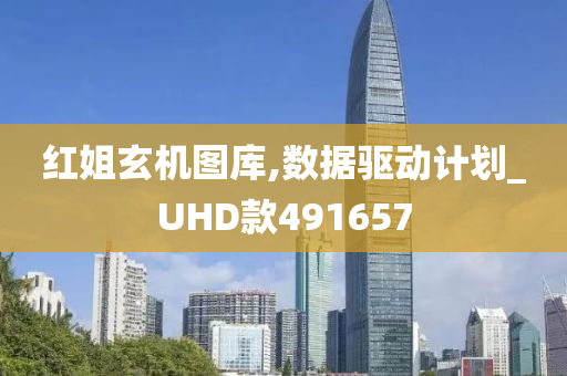 红姐玄机图库,数据驱动计划_UHD款491657