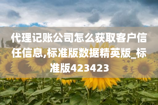 代理记账公司怎么获取客户信任信息,标准版数据精英版_标准版423423