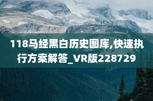 118马经黑白历史图库,快速执行方案解答_VR版228729