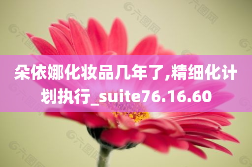 朵依娜化妆品几年了,精细化计划执行_suite76.16.60