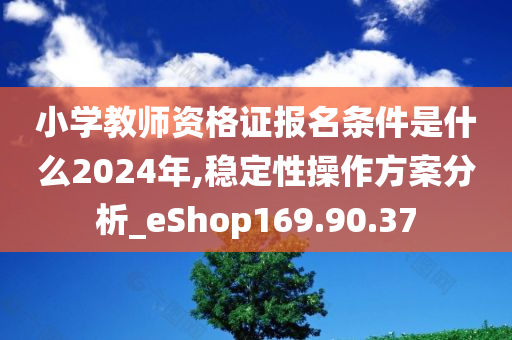 小学教师资格证报名条件是什么2024年,稳定性操作方案分析_eShop169.90.37