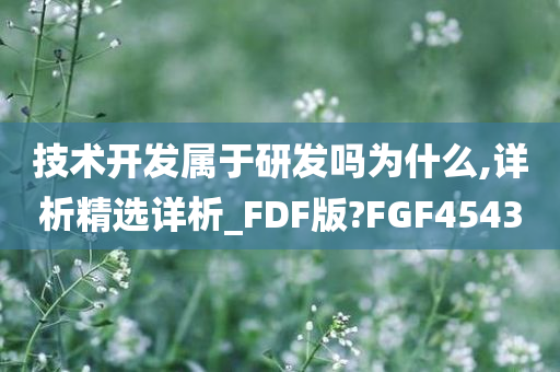 技术开发属于研发吗为什么,详析精选详析_FDF版?FGF4543