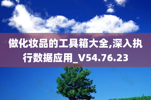 做化妆品的工具箱大全,深入执行数据应用_V54.76.23