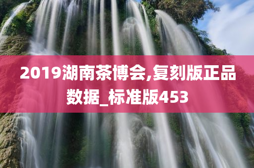 2019湖南茶博会,复刻版正品数据_标准版453