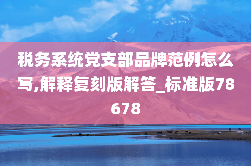 税务系统党支部品牌范例怎么写,解释复刻版解答_标准版78678