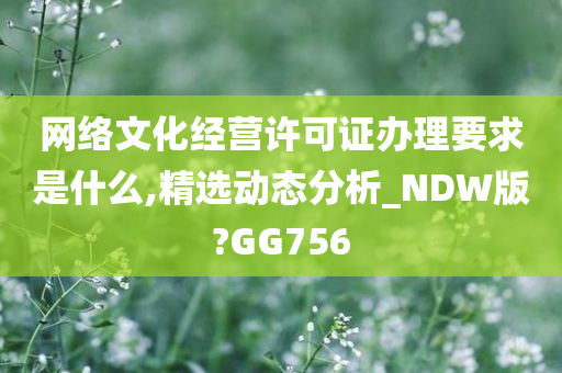 网络文化经营许可证办理要求是什么,精选动态分析_NDW版?GG756