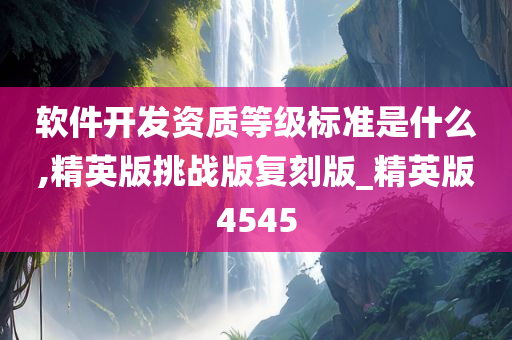 软件开发资质等级标准是什么,精英版挑战版复刻版_精英版4545