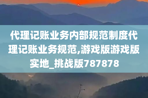 代理记账业务内部规范制度代理记账业务规范,游戏版游戏版实地_挑战版787878