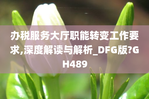 办税服务大厅职能转变工作要求,深度解读与解析_DFG版?GH489