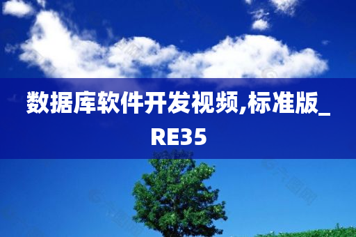 数据库软件开发视频,标准版_RE35