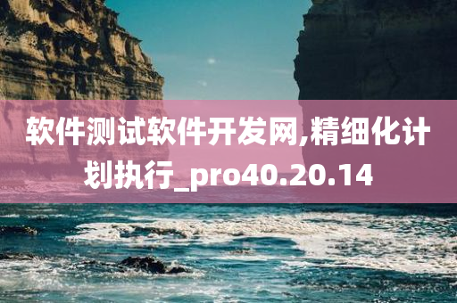 软件测试软件开发网,精细化计划执行_pro40.20.14