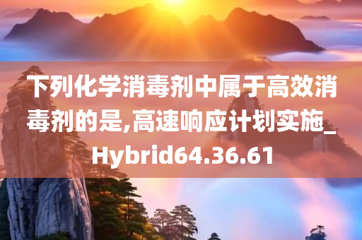 下列化学消毒剂中属于高效消毒剂的是,高速响应计划实施_Hybrid64.36.61