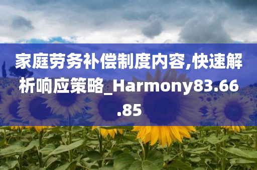 家庭劳务补偿制度内容,快速解析响应策略_Harmony83.66.85