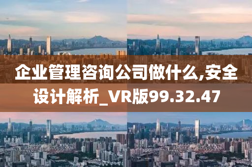 企业管理咨询公司做什么,安全设计解析_VR版99.32.47