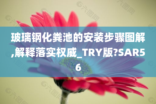 玻璃钢化粪池的安装步骤图解,解释落实权威_TRY版?SAR56