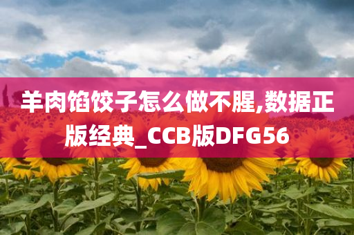 羊肉馅饺子怎么做不腥,数据正版经典_CCB版DFG56