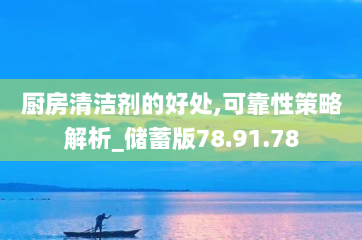 厨房清洁剂的好处,可靠性策略解析_储蓄版78.91.78