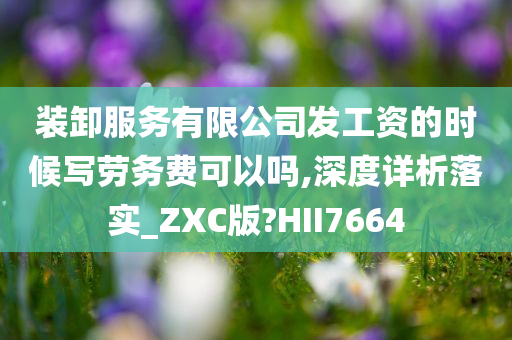 装卸服务有限公司发工资的时候写劳务费可以吗,深度详析落实_ZXC版?HII7664