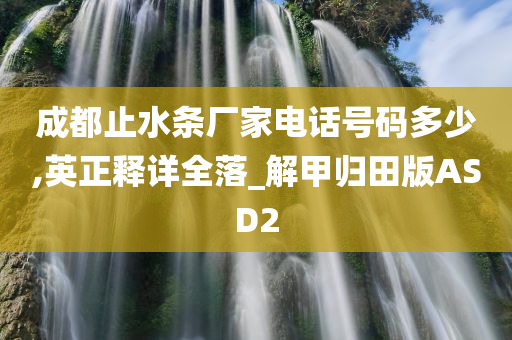 成都止水条厂家电话号码多少,英正释详全落_解甲归田版ASD2