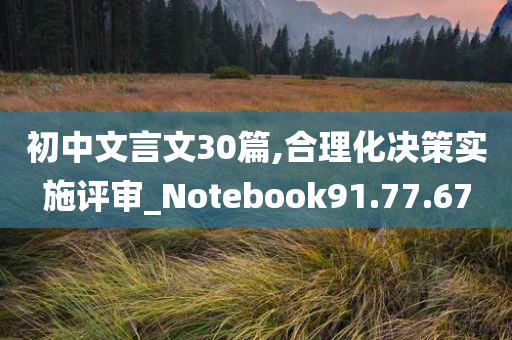 初中文言文30篇,合理化决策实施评审_Notebook91.77.67