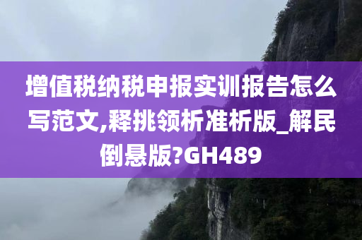 增值税纳税申报实训报告怎么写范文,释挑领析准析版_解民倒悬版?GH489