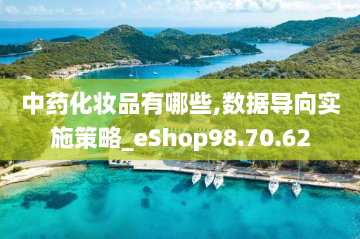 中药化妆品有哪些,数据导向实施策略_eShop98.70.62