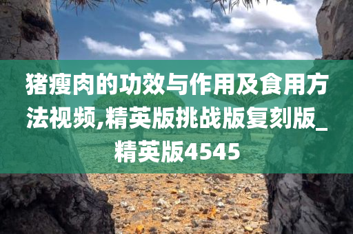 猪瘦肉的功效与作用及食用方法视频,精英版挑战版复刻版_精英版4545