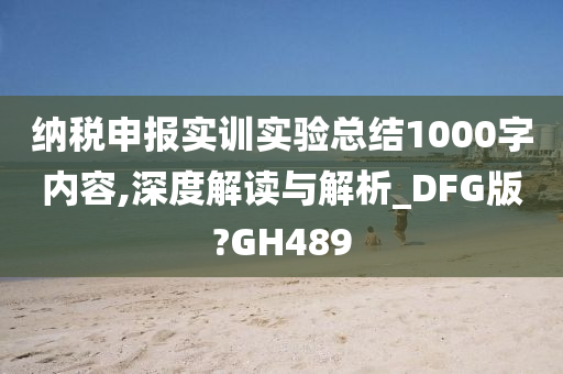 纳税申报实训实验总结1000字内容,深度解读与解析_DFG版?GH489