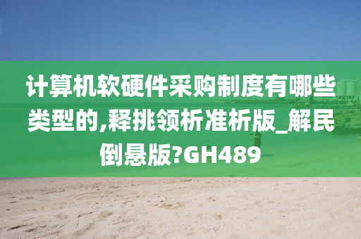 计算机软硬件采购制度有哪些类型的,释挑领析准析版_解民倒悬版?GH489