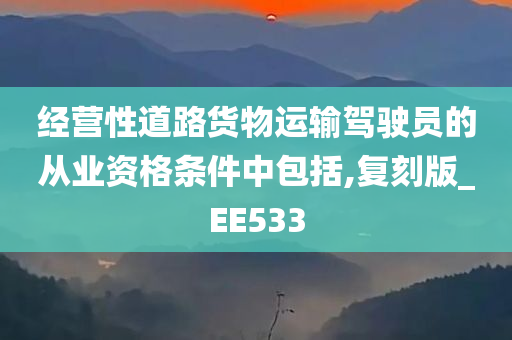 经营性道路货物运输驾驶员的从业资格条件中包括,复刻版_EE533