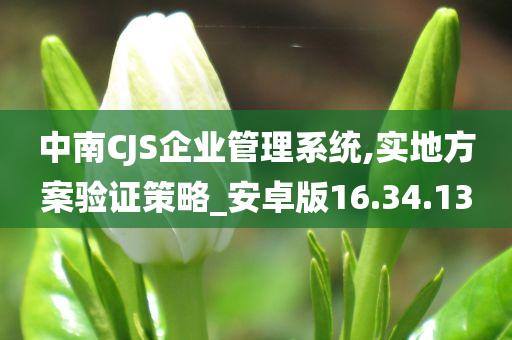 中南CJS企业管理系统,实地方案验证策略_安卓版16.34.13