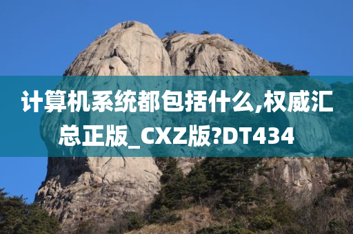 计算机系统都包括什么,权威汇总正版_CXZ版?DT434