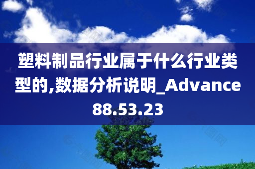 塑料制品行业属于什么行业类型的,数据分析说明_Advance88.53.23