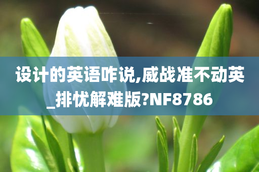 设计的英语咋说,威战准不动英_排忧解难版?NF8786