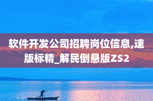 软件开发公司招聘岗位信息,速版标精_解民倒悬版ZS2