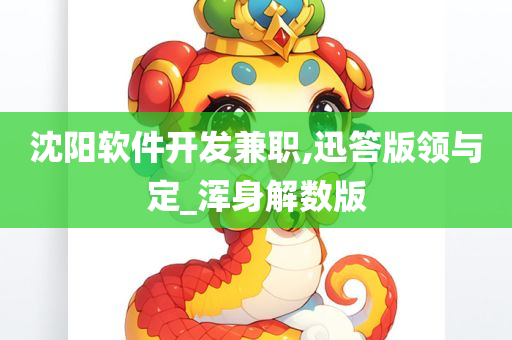 沈阳软件开发兼职,迅答版领与定_浑身解数版