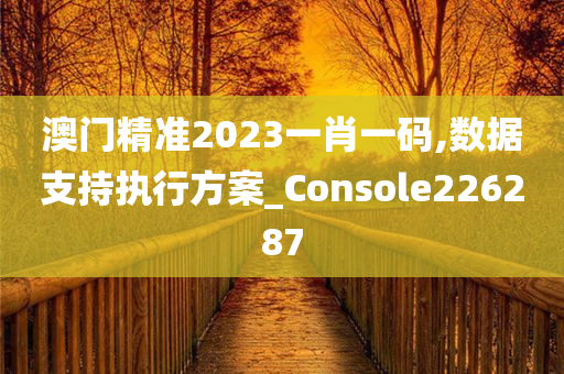 澳门精准2023一肖一码,数据支持执行方案_Console226287