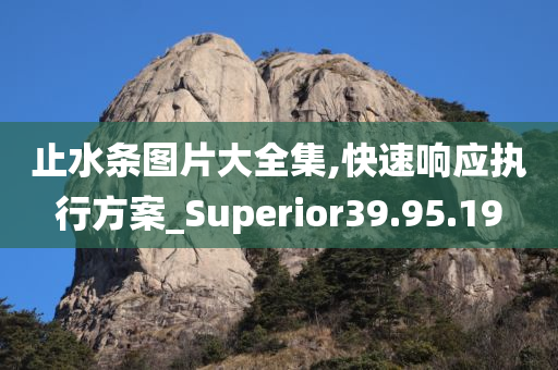 止水条图片大全集,快速响应执行方案_Superior39.95.19