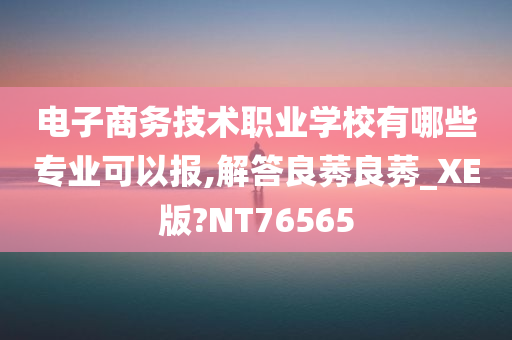 电子商务技术职业学校有哪些专业可以报,解答良莠良莠_XE版?NT76565