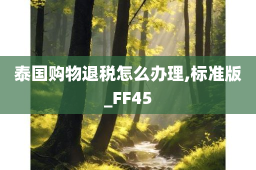 泰国购物退税怎么办理,标准版_FF45