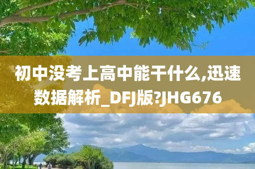 初中没考上高中能干什么,迅速数据解析_DFJ版?JHG676