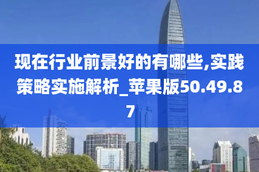 现在行业前景好的有哪些,实践策略实施解析_苹果版50.49.87