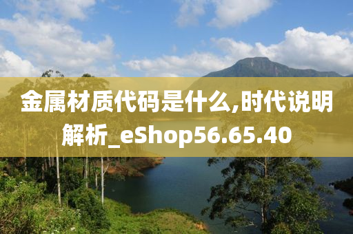 金属材质代码是什么,时代说明解析_eShop56.65.40