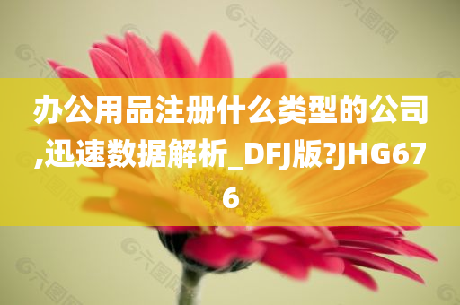 办公用品注册什么类型的公司,迅速数据解析_DFJ版?JHG676